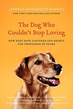 portada The dog who Couldn't Stop Loving: How Dogs Have Captured our Hearts for Thousands of Years (en Inglés)