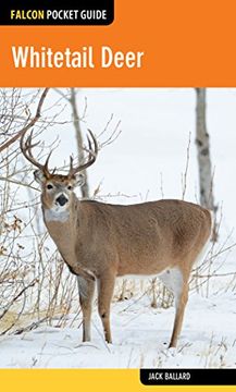 portada Whitetail Deer (Falcon Pocket Guides Series) (in English)