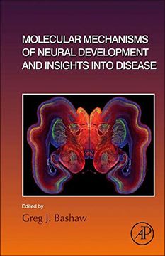 portada Molecular Mechanisms of Neural Development and Insights Into Disease: Volume 142 (Current Topics in Developmental Biology, Volume 142) (en Inglés)