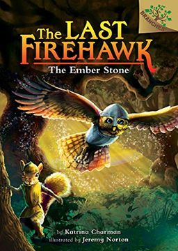 portada The Ember Stone: A Branches Book (The Last Firehawk #1)