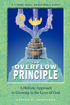 portada The Overflow Principle (in English)