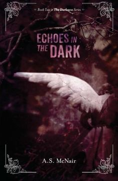 portada Echoes In the Dark: Book Two in the Darkness Series: Volume 2