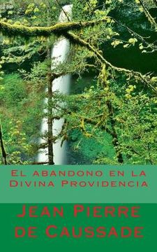 portada El Abandono en la Divina Providencia (in Spanish)