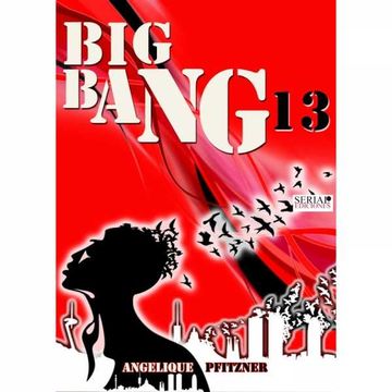 portada Big Bang 13