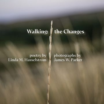 portada Walking the Changes (in English)