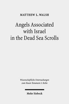 portada Angels Associated with Israel in the Dead Sea Scrolls: Angelology and Sectarian Identity at Qumran (en Inglés)
