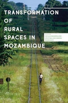 portada Transformations of Rural Spaces in Mozambique (en Inglés)
