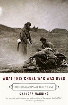 portada What This Cruel war was Over: Soldiers, Slavery, and the Civil war 