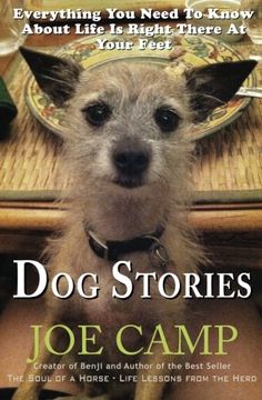 portada Dog Stories: Everything You Need To Know About Life Is Right There At Your Feet