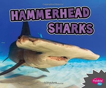 portada Hammerhead Sharks (All About Sharks) (en Inglés)