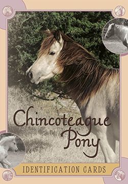 portada Chincoteague Pony Identification Cards