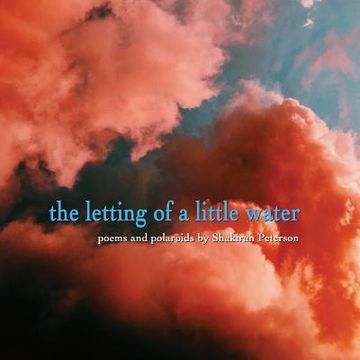 portada The Letting of a Little Water (en Inglés)
