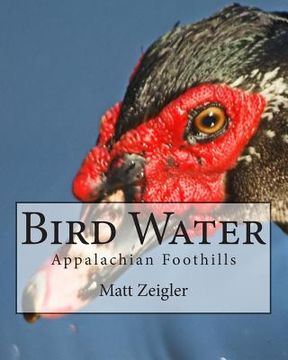 portada Bird Water: Appalachian Foothills (en Inglés)