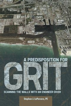 portada A Predisposition for Grit: Scanning the Walls with an Engineer-Diver
