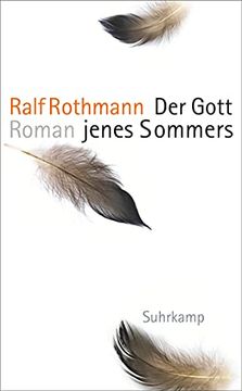portada Der Gott Jenes Sommers: Roman (Suhrkamp Taschenbuch) (in German)