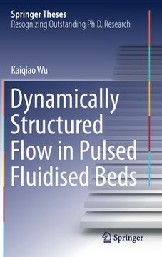 portada Dynamically Structured Flow in Pulsed Fluidised Beds (en Inglés)