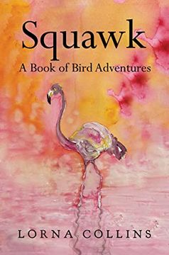 portada Squawk: A Book of Bird Adventures (en Inglés)
