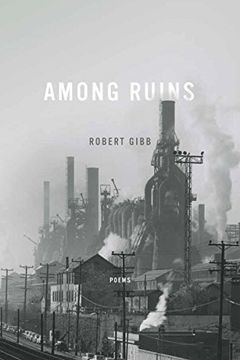 portada Among Ruins (Ernest Sandeen Prize in Poetry) (in English)