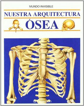 portada Nuestra Arquitectura Osea (in Spanish)