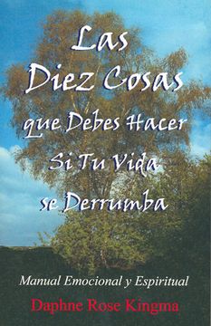 portada Las Diez Cosas que Debes Hacer si tu Vida se Derrumba. (in Spanish)