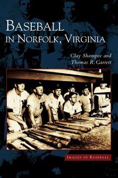 portada Baseball in Norfolk, Virginia