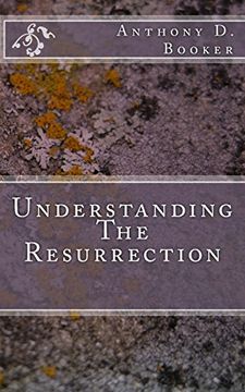 portada Understanding The Resurrection
