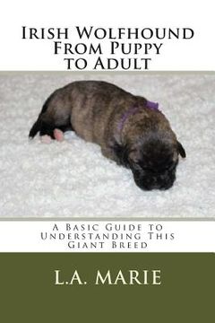 portada Irish Wolfhound From Puppy to Adult: A Basic Guide to Understanding This Giant Breed (en Inglés)