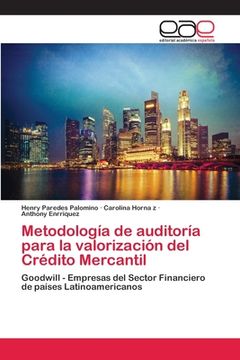 portada Metodología de Auditoría Para la Valorización del Crédito Mercantil (in Spanish)