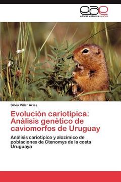 portada evoluci n cariot pica: an lisis gen tico de caviomorfos de uruguay (en Inglés)