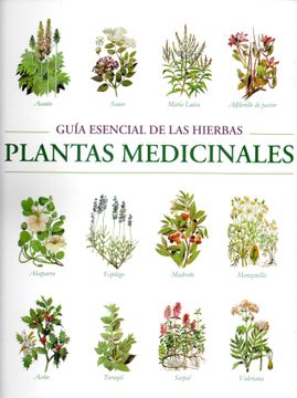 pulgar En segundo lugar Desbordamiento Libro El Mundo de las Plantas Medicinales, Edmund Chessi, ISBN  9788445909249. Comprar en Buscalibre