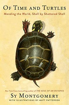 portada Of Time and Turtles: Mending the World, Shell by Shattered Shell (in English)