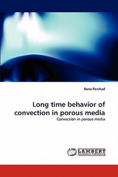 portada long time behavior of convection in porous media (en Inglés)