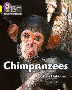 portada Chimpanzees: Band 03 (en Inglés)