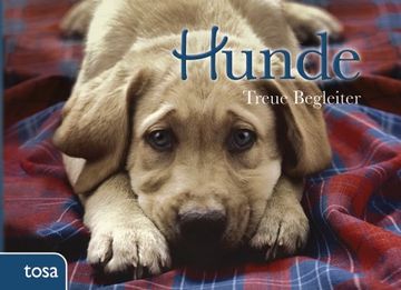 portada Hunde (in German)