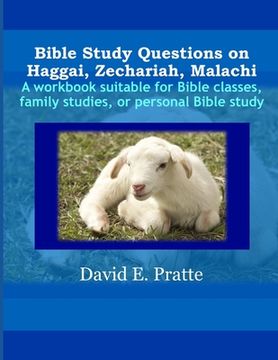 Bible Study Questions on Haggai, Zechariah, Malachi: A workbook suitable for Bible classes, family studies, or personal Bible study (en Inglés)