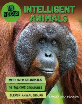 portada In Focus: Intelligent Animals