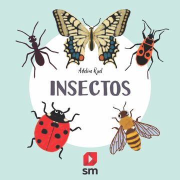 portada Insectos (Naturaleza)