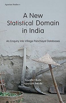 portada A New Statistical Domain in India: An Enquiry Into Village Panchayat Databases (en Inglés)