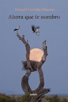 AHORA QUE TE NOMBRO (en Castellano)