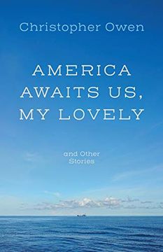 portada America Awaits us, my Lovely, and Other Stories (en Inglés)
