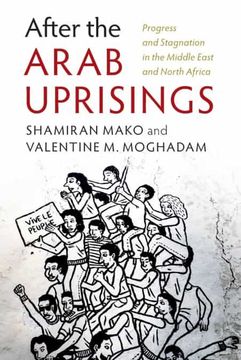 portada After the Arab Uprisings (en Inglés)