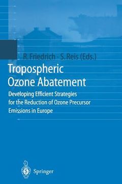 portada tropospheric ozone abatement: developing efficient strategies for the reduction of ozone precursor emissions in europe (en Inglés)