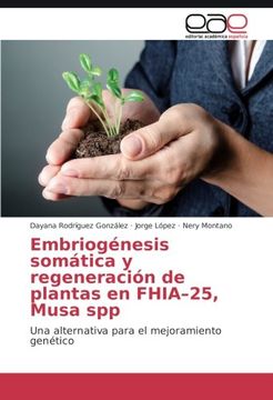 portada Embriogénesis somática y regeneración de plantas en FHIA–25, Musa spp: Una alternativa para el mejoramiento genético (Spanish Edition)
