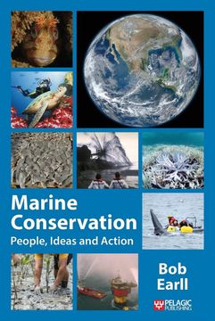 portada Marine Conservation: People, Ideas and Action (Perspectives in Conservation Biology) (en Inglés)
