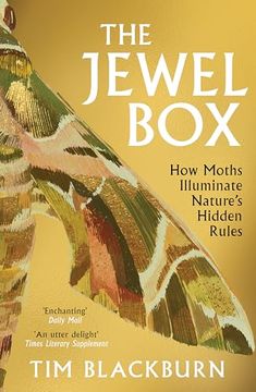 portada The Jewel Box: How Moths Illuminate Nature's Hidden Rules (in English)