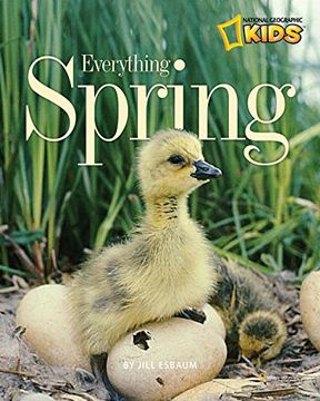 portada Everything Spring (Picture the Seasons) (en Inglés)