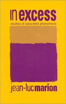 portada In Excess: Studies of Saturated Phenomena (Perspectives in Continental Philosophy) (in English)