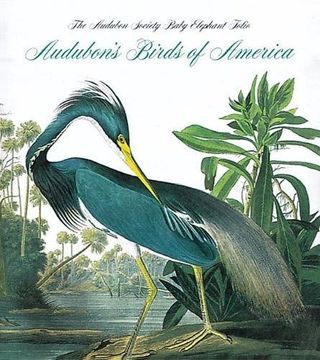 portada Audubon's Birds of America: The National Audubon Society Baby Elephant Folio (Tiny Folio) (en Inglés)