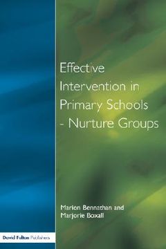 portada effect intervention in primary school