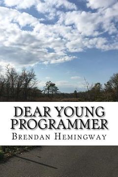 portada Dear Young Programmer: Things I Wish You Knew (en Inglés)